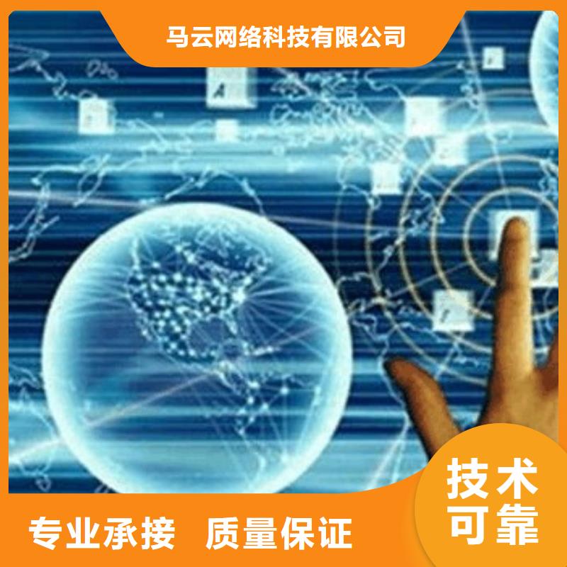 数字经济架构的成熟落地 深入解析马云的网络运营技术体系与服务生态